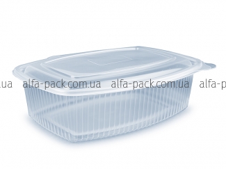 PP container with lid 1500 ml 5156 