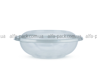 Transparent container 750 ml with lid