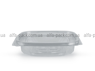 SPK-250 transparent rectangular container 250 ml with lid