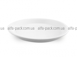 Plastic plate table white