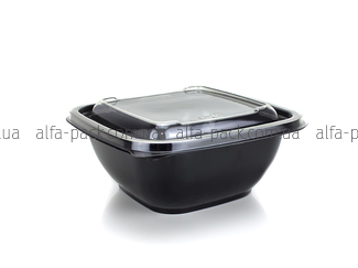 Container 750 ml black + lid to container 160*160 mm transparent 