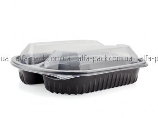 Lunch box with 2 sections with transparent lid