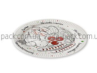 Disposable paper plate Picnic plate