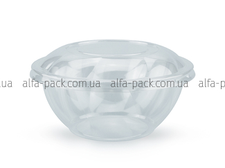 Transparent container PR940 1000 ml with lid and insert